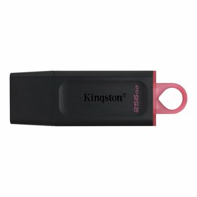 Kingston Technology DataTraveler Exodia USB flash drive 256 GB USB Type-A 3.2 Gen 1 (3.1 Gen 1) Zwart
