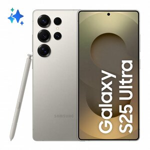 Samsung Galaxy S25 Ultra | 17,5 cm (6.9") | Dual SIM | Android 15 | 5G | USB Type-C | 12 GB RAM | 512 GB Opslag | 120Hz AMOLED Display | 5000 mAh | Titanium Grijs
