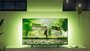 Philips 65PUS8319/12 | 65'' Ultra HD 4K | LED Ambilight Smart TV | Wifi | Titan OS | HDR10+ | 60Hz_