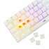 Baracuda Dolphin RGB 60% | Bedraad Gaming Toetsenbord | Anti-Ghosting | QWERTY | Wit_